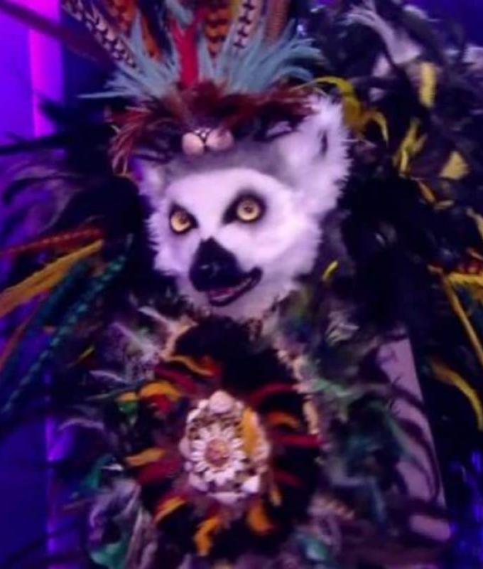 “Incredibile!”, i fedeli di “Mask Singer” non si aspettavano affatto di vedere questa cantante francese ultra discreta in costume lemuriano