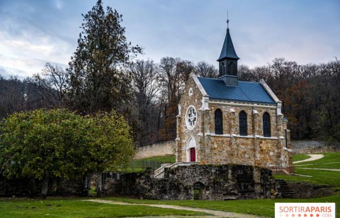 Musei, castelli e monumenti gratuiti negli Yvelines domenica 5 maggio 2024, 1a domenica del mese