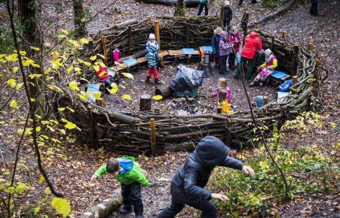Provenendo da nord la scuola forestale si dirama nella Svizzera romanda