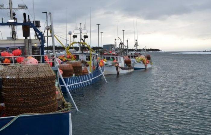 Chi beneficia maggiormente degli aumenti dei prezzi venduti ai consumatori dei prodotti ittici della North Shore?