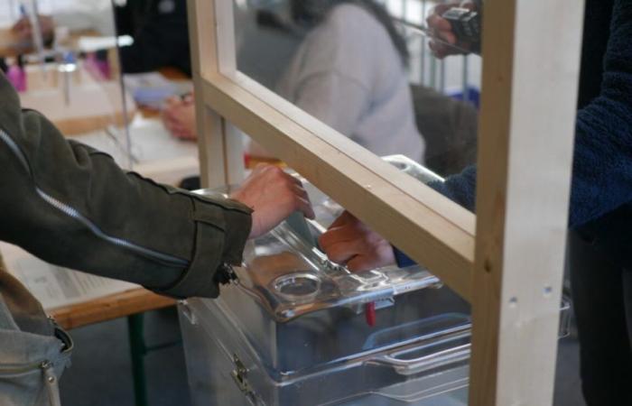 Elezioni legislative 2024: ecco i candidati dichiarati in Mosella