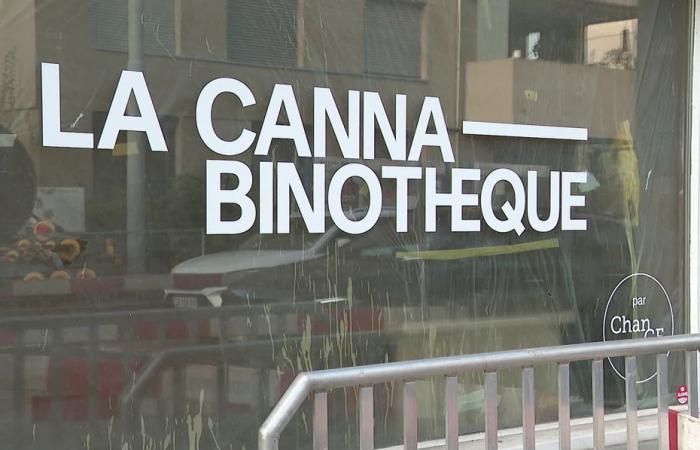 quali risultati per il primo negozio di cannabis a Ginevra, sei mesi dopo la sua apertura?
