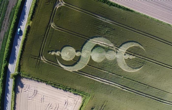 Questo cerchio nel grano scoperto nel Cotentin attira i curiosi e mantiene il mistero