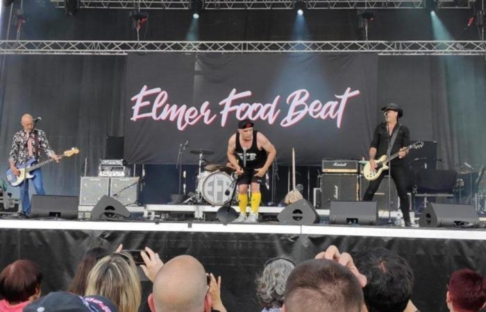 Elmer Food Beat e La Brigade du Kif in concerto nella Manche questo venerdì sera
