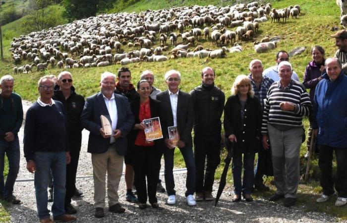 Premiata l’applicazione Pastorando che sensibilizza sulla pastorizia nel Sud delle Alpi