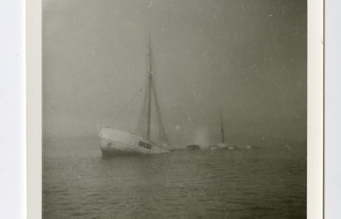 L’ultima nave di Ernest Shackleton trovata al largo delle coste del Canada: NPR