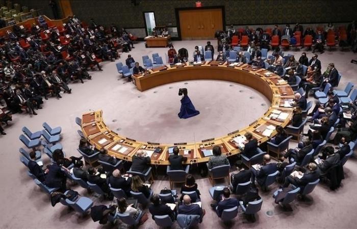 Il Consiglio di Sicurezza delle Nazioni Unite invita le Forze di Supporto Rapido a porre fine alle ostilità (risoluzione)