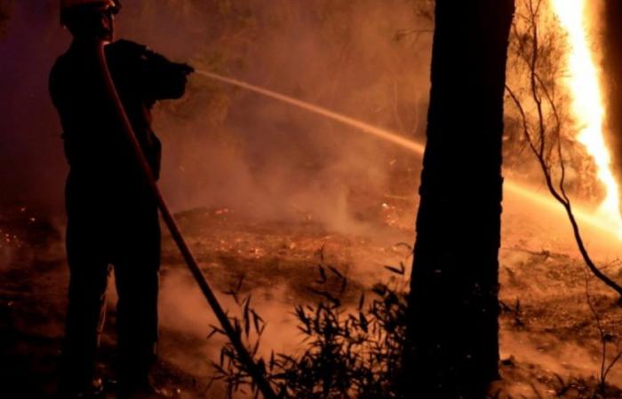 Incendio nel Var: l’incendio, “risolto”, sarebbe di “origine accidentale”: News