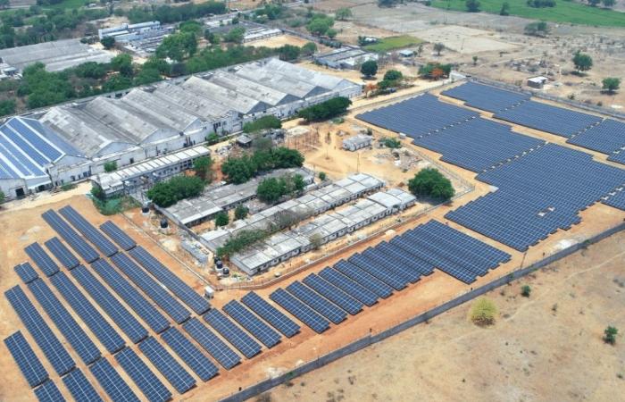 Candi raccoglie 38 milioni di dollari per fornire energia solare alle imprese sudafricane