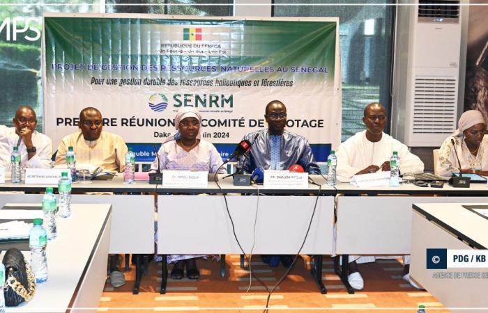 SENEGAL-ENVIRONNEMENT / Gestione dell’ecosistema: verso lo sviluppo di 13 foreste in cinque regioni (ufficiale) – Agenzia di stampa senegalese