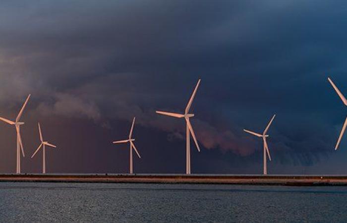 dall’energia eolica offshore all’agrivoltaica, la preoccupazione si sta diffondendo anche al settore delle energie rinnovabili