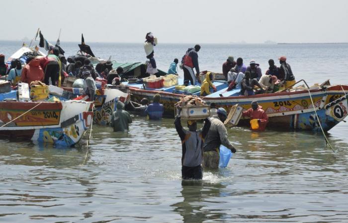 Sfruttamento del giacimento di Sangomar: i pescatori non vogliono navigare in acque agitate – Lequotidien
