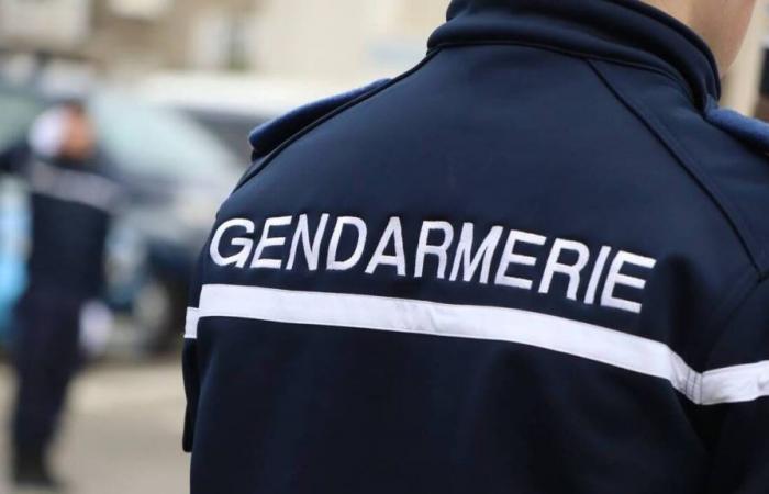 Un agente comunale di 55 anni muore in un incidente con un trattore in Normandia