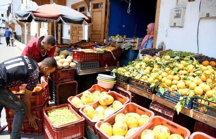 Quando il “bisogno” crea opportunità per i giovani marocchini