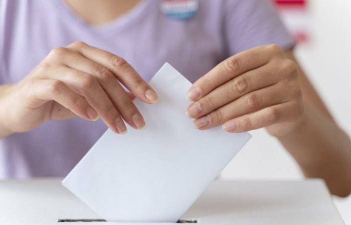 Elezioni legislative 2024: chi saranno i candidati per la 4a circoscrizione elettorale del Gard
