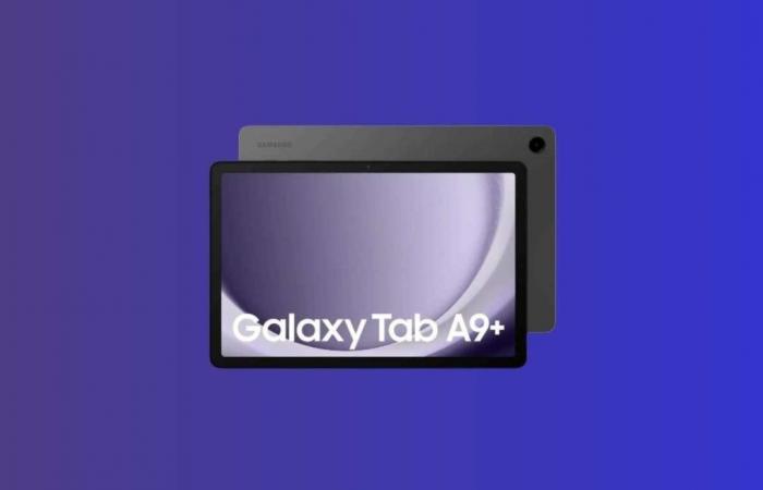 Il prezzo del tablet Samsung Galaxy Tab A9+ scende con la stessa rapidità delle sue azioni su questo noto sito