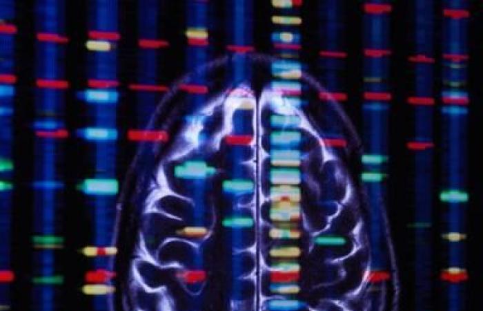 Il trauma può essere trasmesso attraverso i geni?