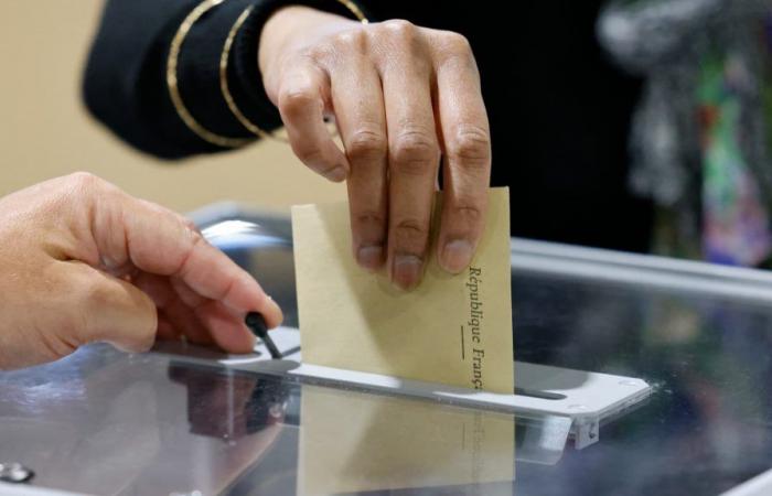 il dilemma degli elettori macronisti in caso di secondo turno LFI-RN ​​nelle elezioni legislative