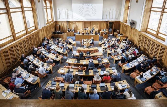 Neuchâtel ha organizzato una sessione inclusiva al Grand Conseil, la prima nella Svizzera romanda – rts.ch