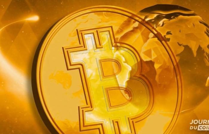 Bitcoin: l’unica moneta veramente decentralizzata dopo Tether (USDT)