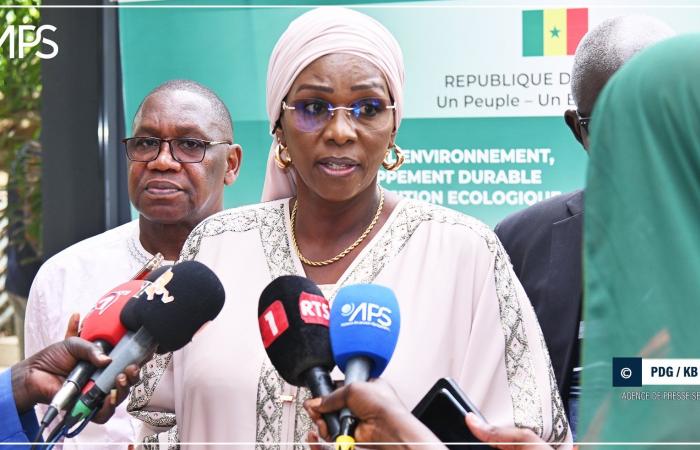 SENEGAL-ENVIRONNEMENT / Gestione dell’ecosistema: verso lo sviluppo di 13 foreste in cinque regioni (ufficiale) – Agenzia di stampa senegalese