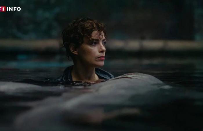 “Under the Seine”: perché il film sugli squali su Neftlix è accusato di plagio?