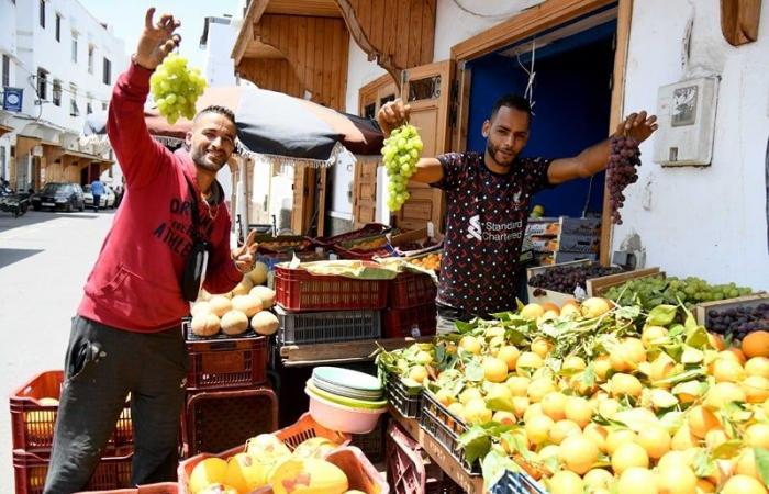 Quando il “bisogno” crea opportunità per i giovani marocchini