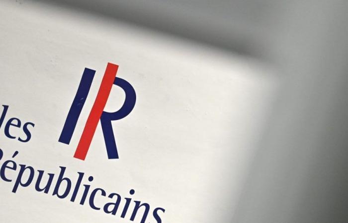 Elezioni legislative 2024: candidati LR Drôme in ordine, situazione più confusa in Ardèche