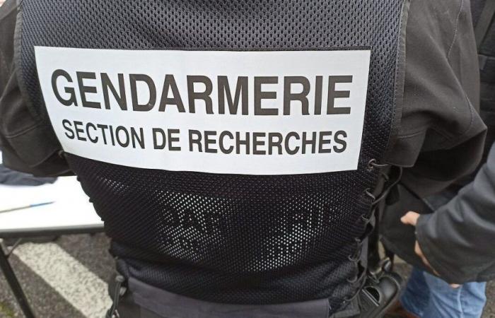 Giovane ucciso a colpi di arma da fuoco ad Annonay: due minorenni arrestati nell’Isère per traffico di droga