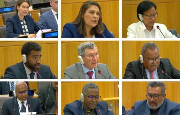 L’ONU e il suo comitato per la decolonizzazione si sono interrogati sulla crisi caledoniana