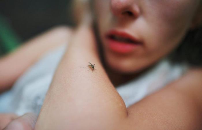E se l’allergia alle punture di zanzara non esistesse realmente?