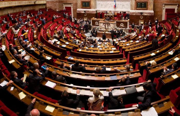 Elezioni legislative 2024: scopri i candidati dichiarati a Meurthe-et-Moselle