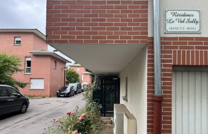 Yvelines: le case da 100.000 euro a Borloo appesantiscono i conti di questa comproprietà