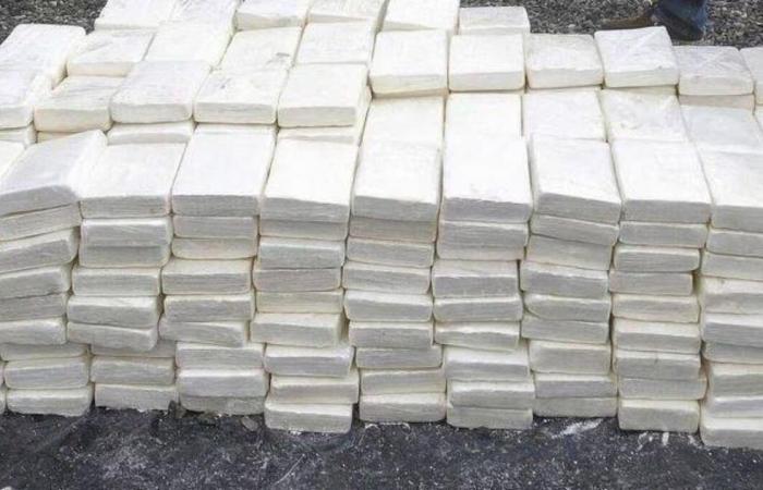sequestrati oltre 100 kg di cocaina nel sud del Paese
