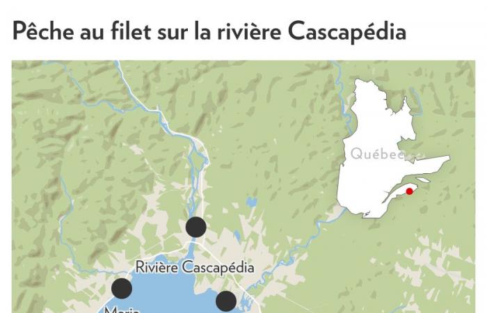 Pesca al salmone nella Gaspésie | I Nets metteranno pressione sul Quebec