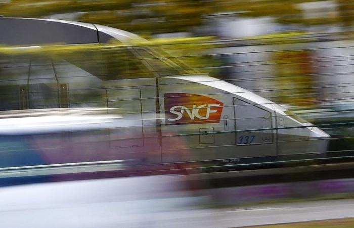 Francia: SNCF promette il 15% in più di posti TGV entro 10 anni