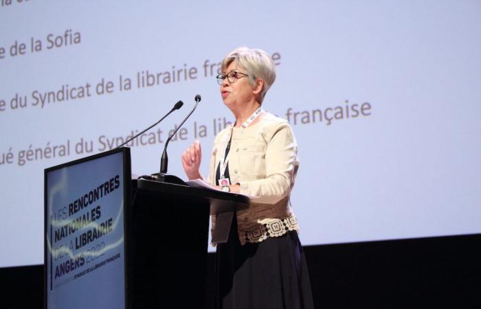 Nelle librerie, “la sovrapproduzione nuoce alla diversità” (Anne Martelle)