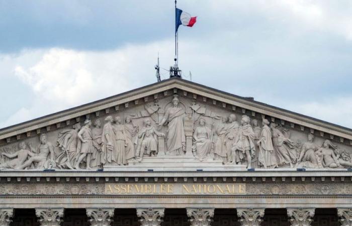 Elezioni legislative 2024: scopri tutti i candidati nei collegi elettorali della Drôme