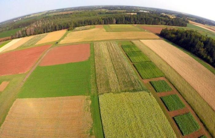 Il prezzo dei terreni agricoli dell’Isola del Principe Edoardo è quasi raddoppiato in cinque anni