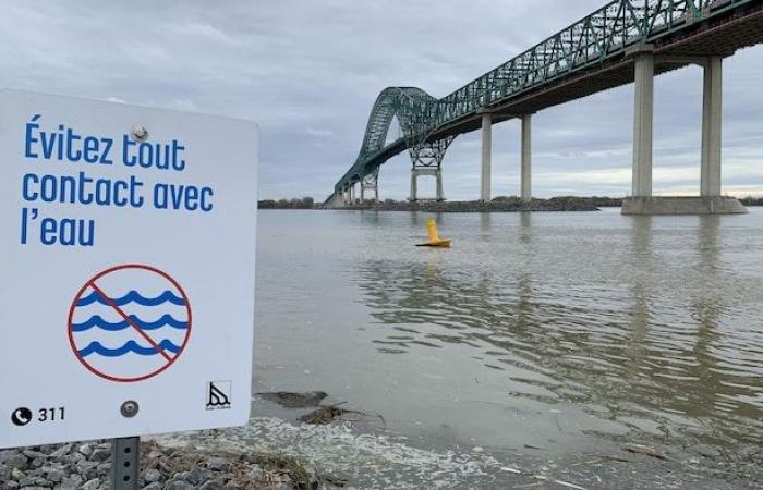 77 comuni del Quebec scaricano le loro acque reflue nella natura