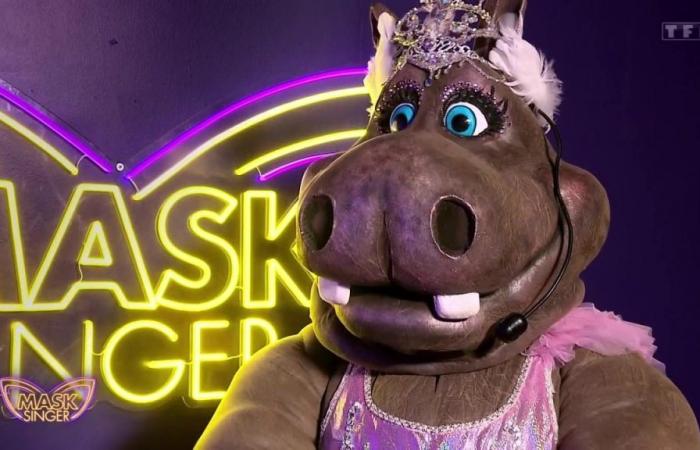 Mask Singer: le star hanno voce in capitolo nella scelta dei costumi?