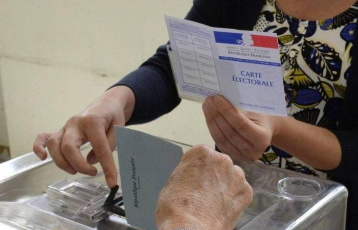 Elezioni legislative 2024. Ecco i 47 candidati dichiarati negli otto collegi elettorali dell’Ille-et-Vilaine