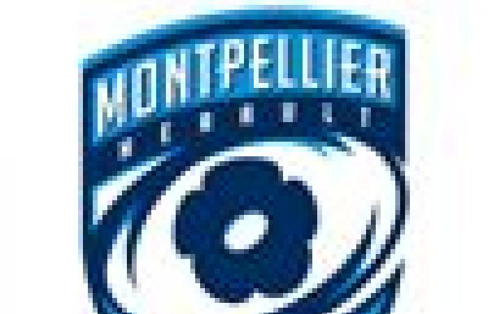 Vivere. Grenoble – Montpellier: segui la partita di adesione alla Top 14