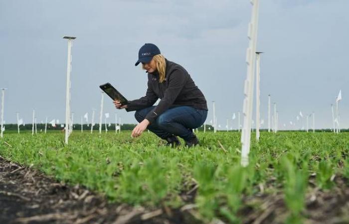 L’intelligenza artificiale può rendere l’agricoltura più efficiente, dicono gli esperti