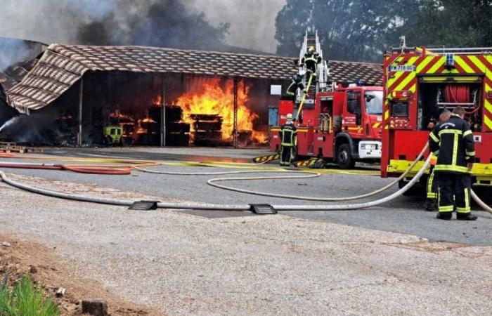 Casteljaloux. Incendio in un magazzino di una fabbrica di trasporti