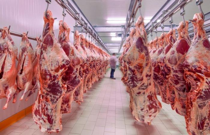 Perché in Svizzera mangiamo “troppa carne”