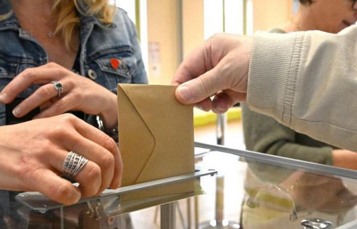 Elezioni legislative nella Creuse: scopri i sette candidati