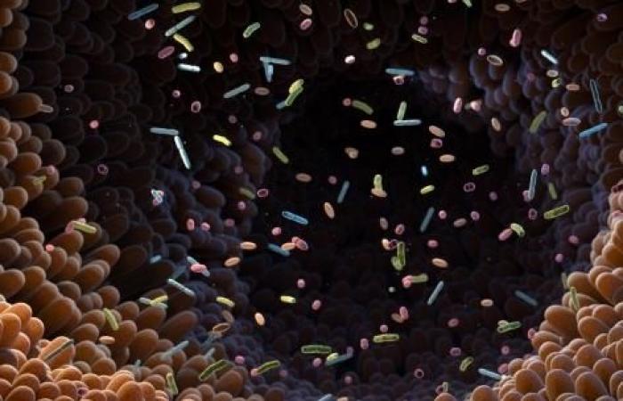 Qual è il ruolo del microbiota nello sviluppo di alcune malattie neurodegenerative?