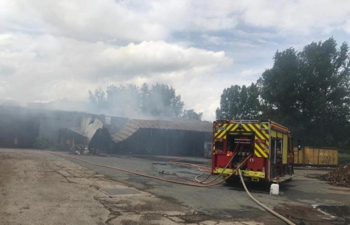 un capannone industriale distrutto dalle fiamme, bancali di legno e diversi veicoli bruciati