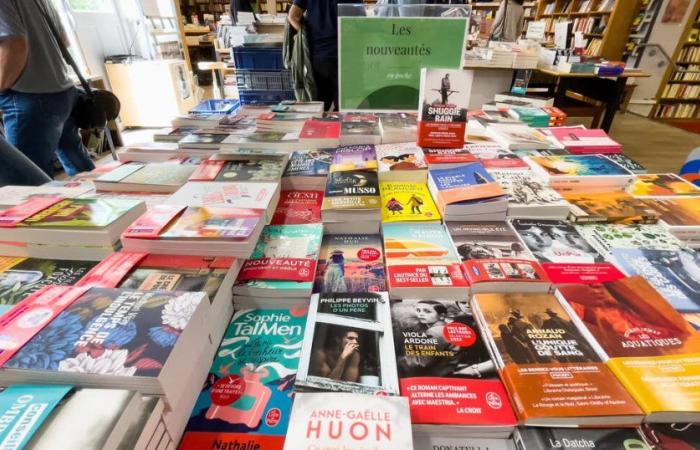Aumento dei costi, stagnazione del mercato… Molte librerie minacciano di bancarotta – Libération